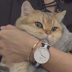 求几个夸克没封的网址
